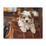 Cute Puppy in a Purse Canvas Art, Dog Lovers Decor, Pet Portrait Wall Art, Gift for Animal Lovers, Home Sweet Home Decoration